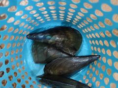 -小海豚•老字号海鲜餐厅(天涯店)