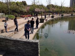iphone_upload_pic-新江湾城公园
