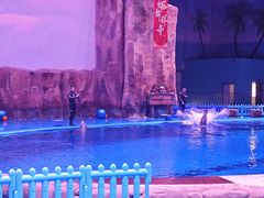 -华夏文旅海洋公园