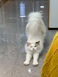 -元一肌肤管理中心