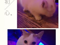 -星宿秘码(鼓浪屿老店)