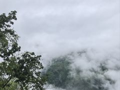 -藏龙百瀑风景区