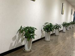 -瑞慈体检上海徐汇机构