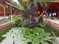 -铁像寺水街