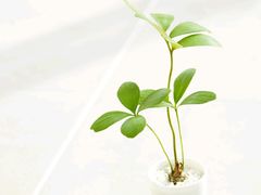 -莒南驴肉馆(蒙山大道店)