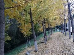 -西安汉城湖景区