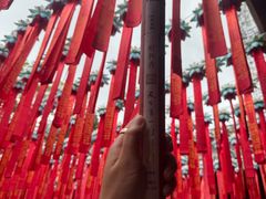 -灵顺寺