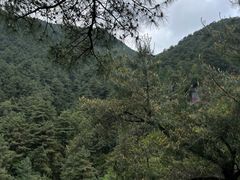 -苍山感通索道