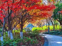 -白马涧龙池景区