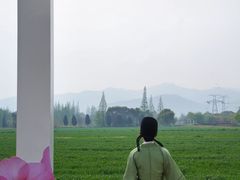 -长田漾湿地公园