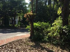 -佛山祈福仙湖酒店