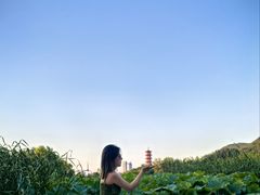 -云龙湖旅游景区