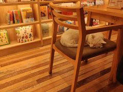 -猫的天空之城概念书店(苏州平江店)