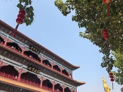-广州莲花山旅游区