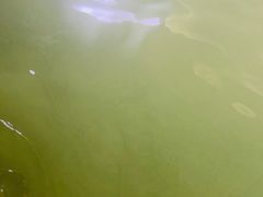 -三江森林温泉度假区