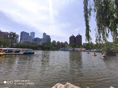 -团结湖公园