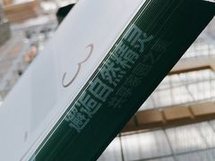 -深圳特区报业大厦