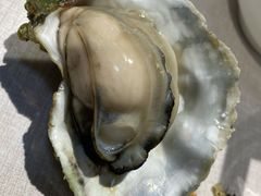 白灼生蚝-南蚝小贝海鲜特色餐厅(南澳岛店)