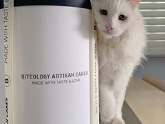 -Biteology Artisan Cakes(红庄·国际文化保税创新园店)