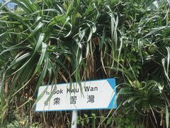 -南丫岛