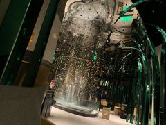-凤园椰珍·臻品椰子鸡(保利时光里店)