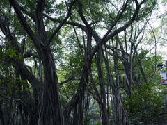 -乌山风景区
