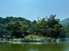 -广州市帽峰山景区