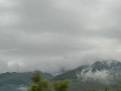 -宝翔羊汤馆