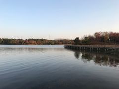 -南京枫彩漫城