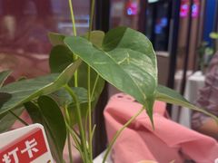 -眉州东坡(鸿坤店)