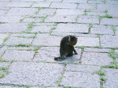 -上海植物园·停车场