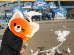 -泉城欧乐堡海洋极地世界