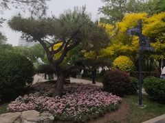 -迎泽公园