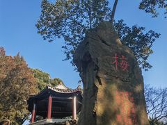 -无锡梅园公园