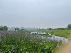 -洋湖国家湿地公园
