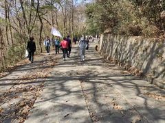 -紫金山山顶公园