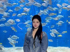 -合肥海洋世界