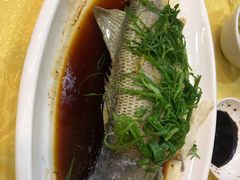 -合力居·生记路边鸡(北京路店)