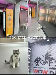 -我舞空间舞蹈培训