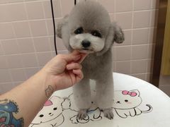 -FAELING PETS美天灵宠物(富力广场店)