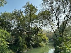 -西溪国家湿地公园