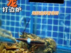 水产区-金龙·打边炉(南京西路店)