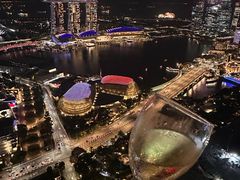 -新加坡瑞士史丹福酒店