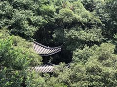 -东白山
