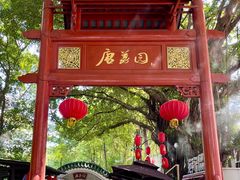 -侨美·唐荔园·40年地道粤菜