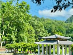 -贵州省植物园