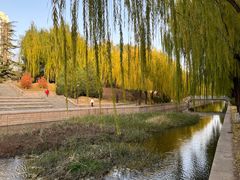 -元大都城垣遗址公园