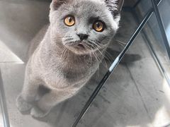 -IN COFFEE LAB 隐咖啡