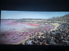 -中影国际影城(大唐西市4K临境音店)