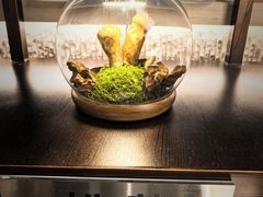 -芸山季·云南山珍菌火锅(人民广场来福士店)